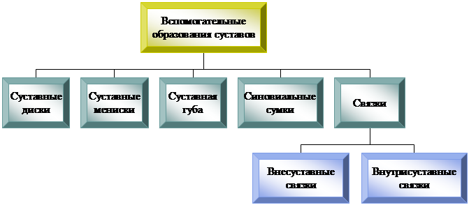 Организационная диаграмма