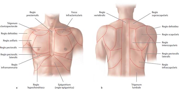 https://basicmedicalkey.com/wp-content/uploads/2017/01/9781626231689_f0281.jpg