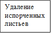 Удаление испорченных листьев