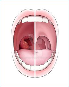 https://neo-medical.ru/wp-content/uploads/f/2/6/f2624e6d0a3d4f0421bd12565d9e9196.jpg