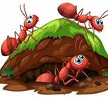 https://avatars.mds.yandex.net/i?id=0dc7d9d8a205cfec99f6ed3744a51adf6280ecca-9083254-images-thumbs&n=13