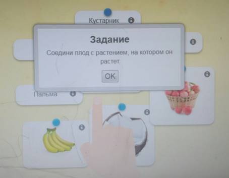 https://pp.userapi.com/c848416/v848416980/94865/02rZ8-Fn408.jpg