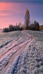 https://avatars.mds.yandex.net/i?id=e1dec23f77435398aafbdf410323a6af15c7ee64-9730803-images-thumbs&n=13