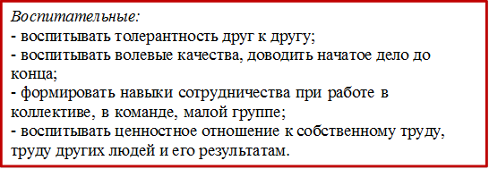 Воспитательные:
- воспитывать толерантность друг к другу;
- воспитывать волевые качества, доводить начатое дело до конца; 
- формировать навыки сотрудничества при работе в коллективе, в команде, малой  группе;
- воспитывать ценностное отношение к собственному труду, труду других людей и его результатам.

