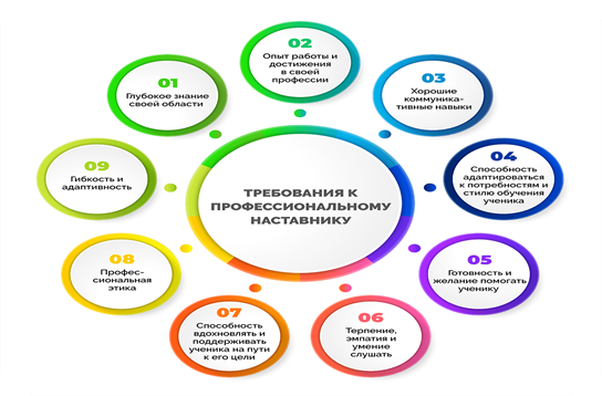 Требования к профессиональному наставнику