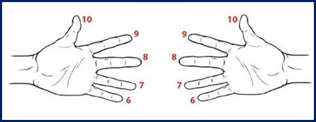 таблица умножения на пальцах