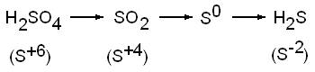 http://www.chem-astu.ru/chair/study/metals/5_Metals-Acids.files/image003.jpg