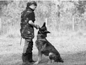 https://bio5-vpr.sdamgia.ru/get_file?id=35749&png=1