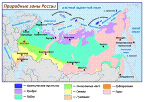 Природные зоны России.png