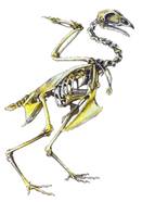 сканирование0096