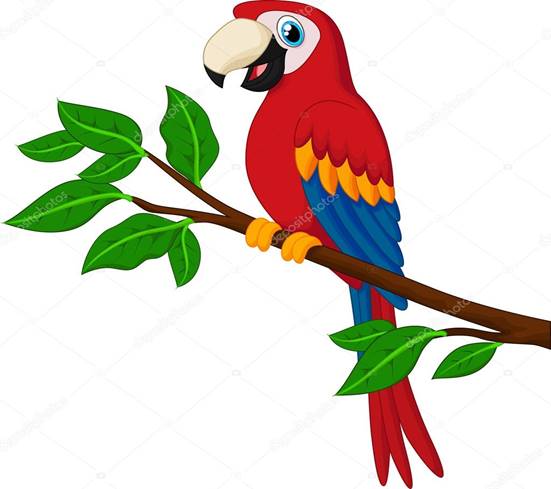 https://st2.depositphotos.com/1967477/6400/v/950/depositphotos_64003919-stock-illustration-cartoon-red-parrot-on-a.jpg