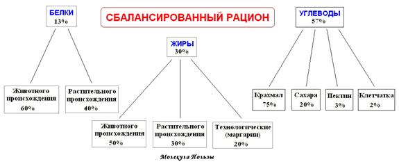 Баланс белков, жиров, углеводов