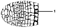 hello_html_56e5cab5.gif