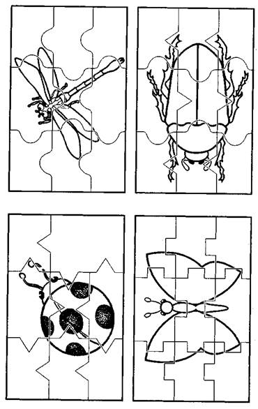 Насекомые разрезные картинки для детей