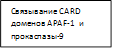 Связывание CARD доменов APAF-1  и прокаспазы-9