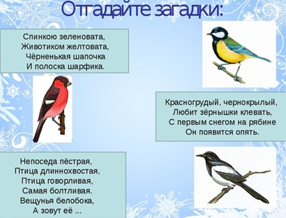 https://fsd.multiurok.ru/html/2021/11/23/s_619d516f6b264/phpU4uVlV_Netodicheskaya-razrabotka-na-temu_pereletnye-pticy_html_7fd6cfd6a62e6418.png