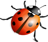 http://zizaza.com/cache/big_thumb/iconset/166493/16413/PNG/256/free_spring/ladybird.png