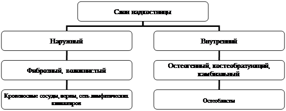 Организационная диаграмма