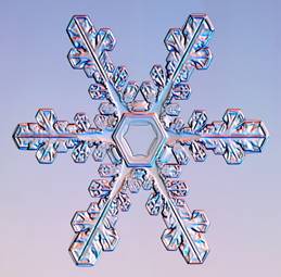 close_up_photos_of_snowflakes_30.jpg