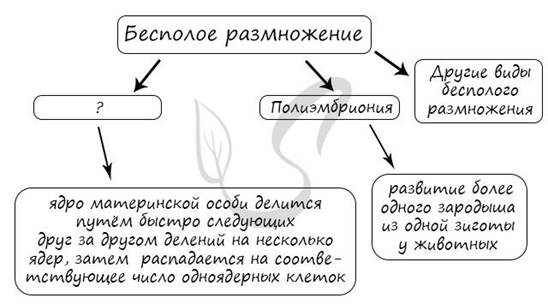 Экспериментатор поместил микропрепарат поперечного разреза ветки липы на предметный столик