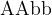 \rm AAbb