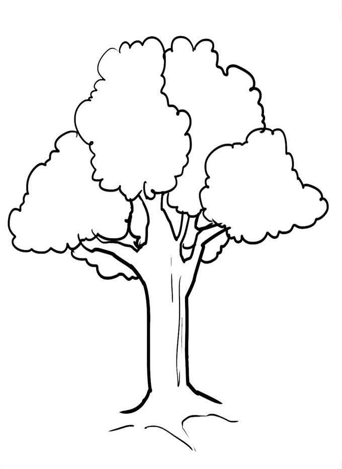 Dibujos-de-Arboles-para-colorear