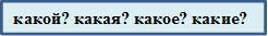 какой? какая? какое? какие?

