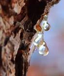 https://avatars.mds.yandex.net/i?id=95b3dd9b980d5b6721cf9caa15caf8c469539e29-5340768-images-thumbs&n=13