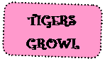 Скругленный прямоугольник: TIGERS GROWL