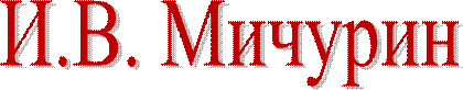 И.В. Мичурин 