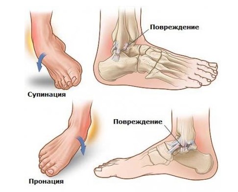 https://www.your-base.info/wp-content/uploads/2019/08/%D1%81%D1%82%D0%BE%D0%BF%D0%B0.jpg