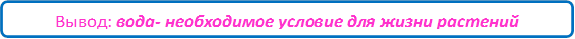 Вывод: вода- необходимое условие для жизни растений 

