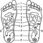 Описание: http://images.med-tutorial.ru/19/images/image081.jpg