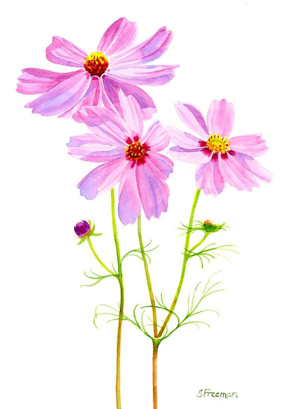 https://i.pinimg.com/736x/08/e9/68/08e96867848b315d6d00c677defc255f--floral-watercolor-watercolor-painting.jpg