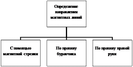 Organization Chart