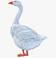 https://img2.freepng.ru/20180327/vtw/kisspng-goose-duck-cygnini-anatidae-clip-art-goose-5abb053c0d9c41.3544724115222060120558.jpg