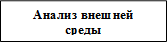 Анализ внешней  среды