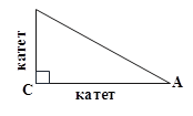 катет,катет,A,C