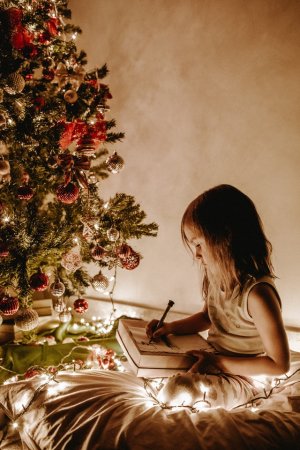 https://rustutors.ru/uploads/posts/2019-12/medium/1575782049_photo-of-girl-sitting-near-christmas-tree-3303613.jpg