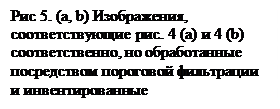 Надпись: Рис 5. (a, b) Изображения, соответствующие рис. 4 (a) и 4 (b) соответственно, но обработанные посредством пороговой фильтрации и инвентированные