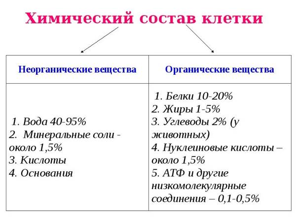 Химический состав клетки схема