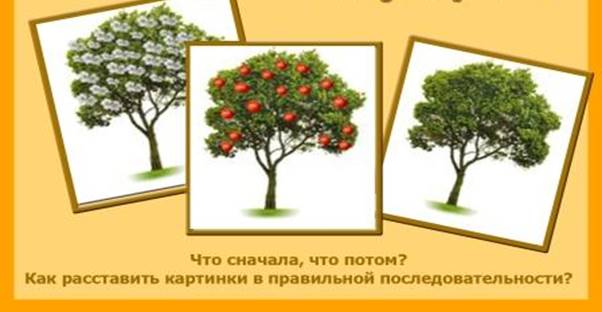 https://i1.wp.com/rodnaya-tropinka.ru/wp-content/uploads/2013/09/frukty-zadaniia-dlia-detei.jpg