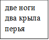 две ноги
два крыла
перья
