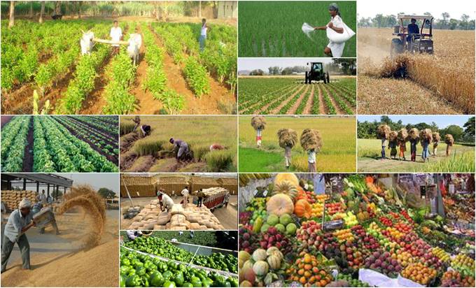 http://3.bp.blogspot.com/-nSmrnp_m5SQ/Vl0xoJ97v5I/AAAAAAAAAgU/CCuw8YFLOrM/s1600/Agriculture%2BIndustry%2Bin%2BIndia.jpg