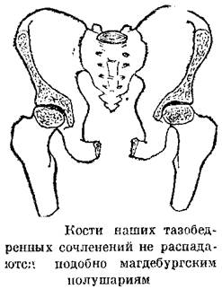 http://festival.1september.ru/articles/596569/img12.jpg