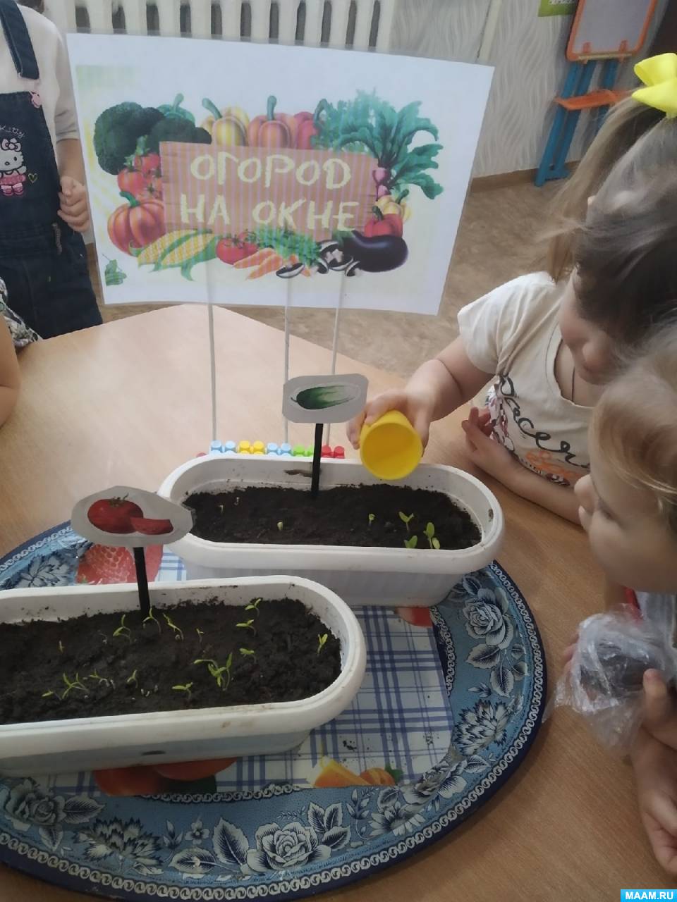 Долгосрочный проект для детей средней группы (4–5 лет) - фото