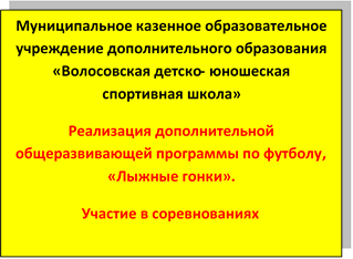 Муниципальное казенное образовательное учреждение дополнительного образования «Волосовская детско- юношеская спортивная школа»
Реализация дополнительной общеразвивающей программы по футболу, «Лыжные гонки».
Участие в соревнованиях

