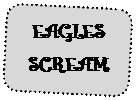 Скругленный прямоугольник: EAGLES SCREAM