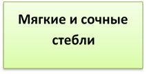 Мягкие и сочные  стебли