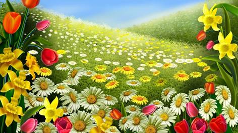 https://wp-s.ru/wallpapers/11/14/554608887887682/romashki-narcissy-i-tyulpany-na-lugu.jpg